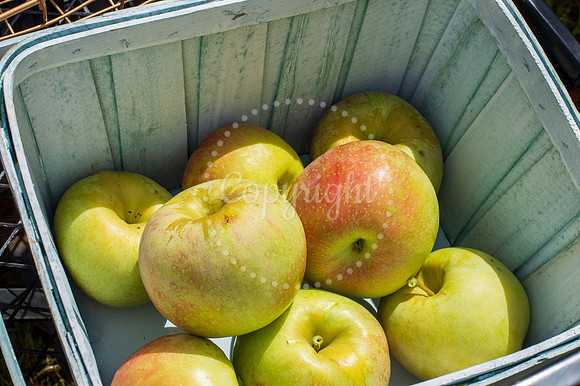 Branding Photography