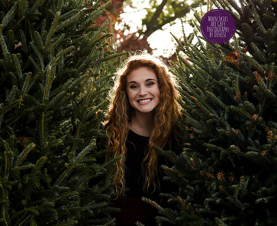 Fun Christmas Tree Sessions with Chesapeake Photographer Denise Powers