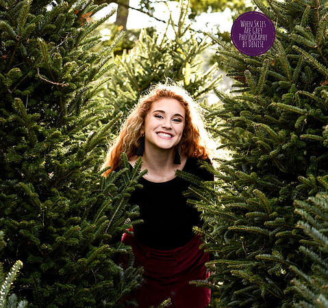 Christmas Tree Sessions at Historic Greenbrier Farms by Denise Powers