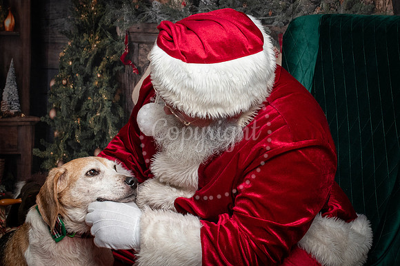 Pet Friendly Santa