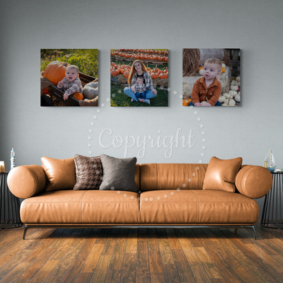 Family Photo Wall Art