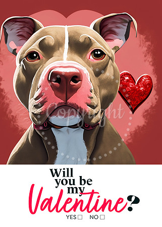 Red Nose Valentine Pit Bull-6 (1)