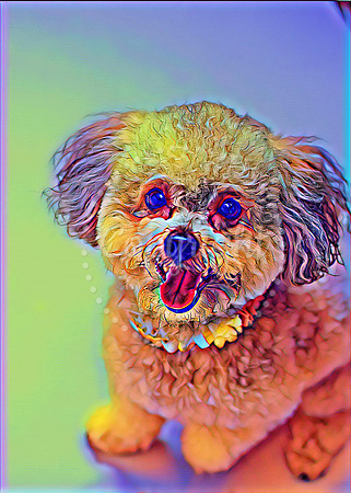 Oakley 25x17 Digital Art