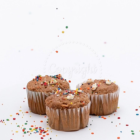 Dog Cupcakes Commercial Pet Brand Photographer Denise Powers