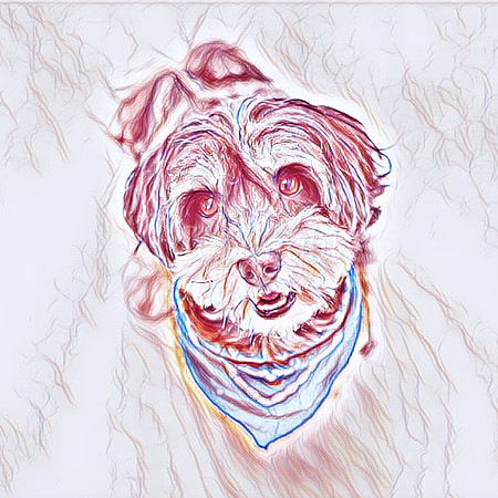 Ozzy Sketch