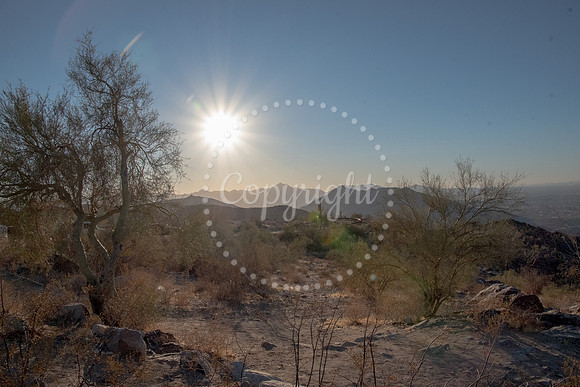 Sunset at Dobbins Lookout in South Mountain Park, Phoenix, Arizona, with desert trees and mountains glowing in golden light