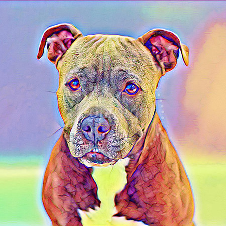Ada Digital Art