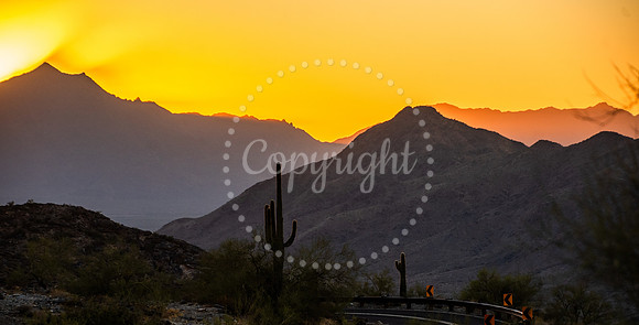 Silhouetted saguaro cacti and desert mountains at sunset from Dobbins Lookout in South Mountain Park, Phoenix, Arizona
