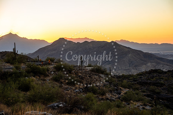 Twilight Cactus – Arizona Dusk