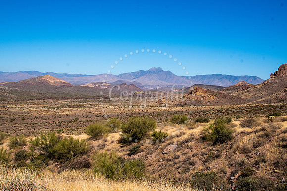 Wide view of Arizona desert landscape with golden grasses, scattered shrubs, and Four Peaks Mountain range under a clear blue sky