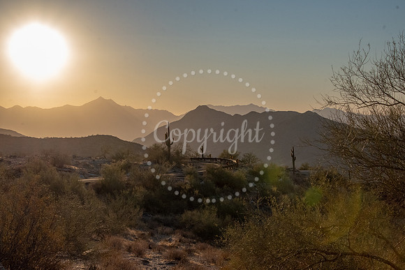 Golden desert sunset over Dobbins Lookout in South Mountain Park, Phoenix, Arizona with cacti and mountains in silhouette