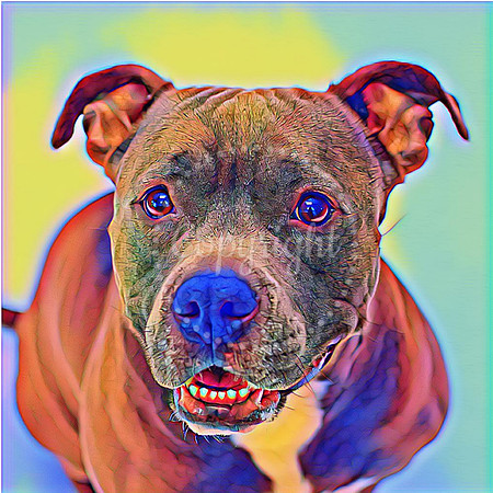 Ada 25x25 Digital Art