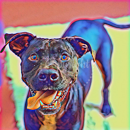 Eli Digital Art