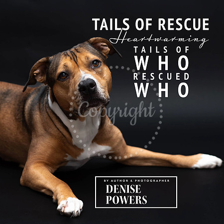 Tails of Rescue Heartwarming Stories of Who Rescued Who by Denise Powers