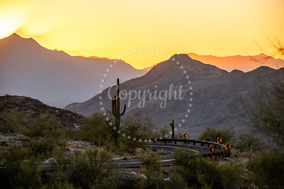 Curving mountain road at sunset in South Mountain Park, Phoenix, Arizona with silhouetted saguaro cactus and glowing yellow sky