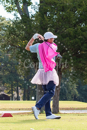 Golf Tournament Games