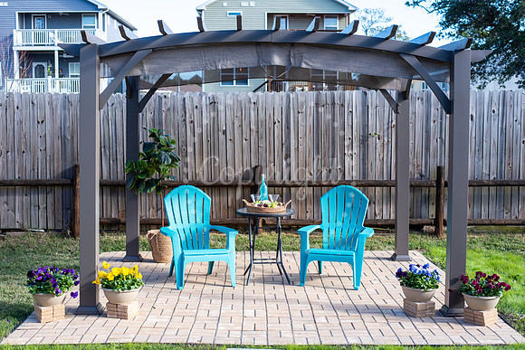 Backyard 1
