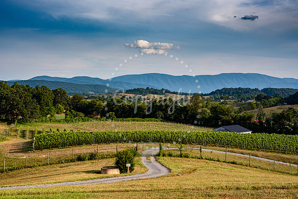 Hillside Farm Over Farm Virginia