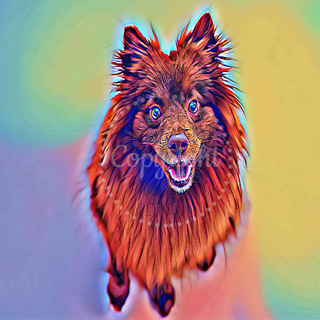 Cj Digital Art