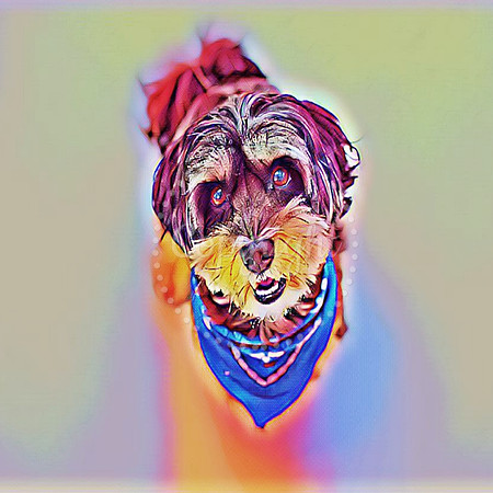 Ozzy Digital Art